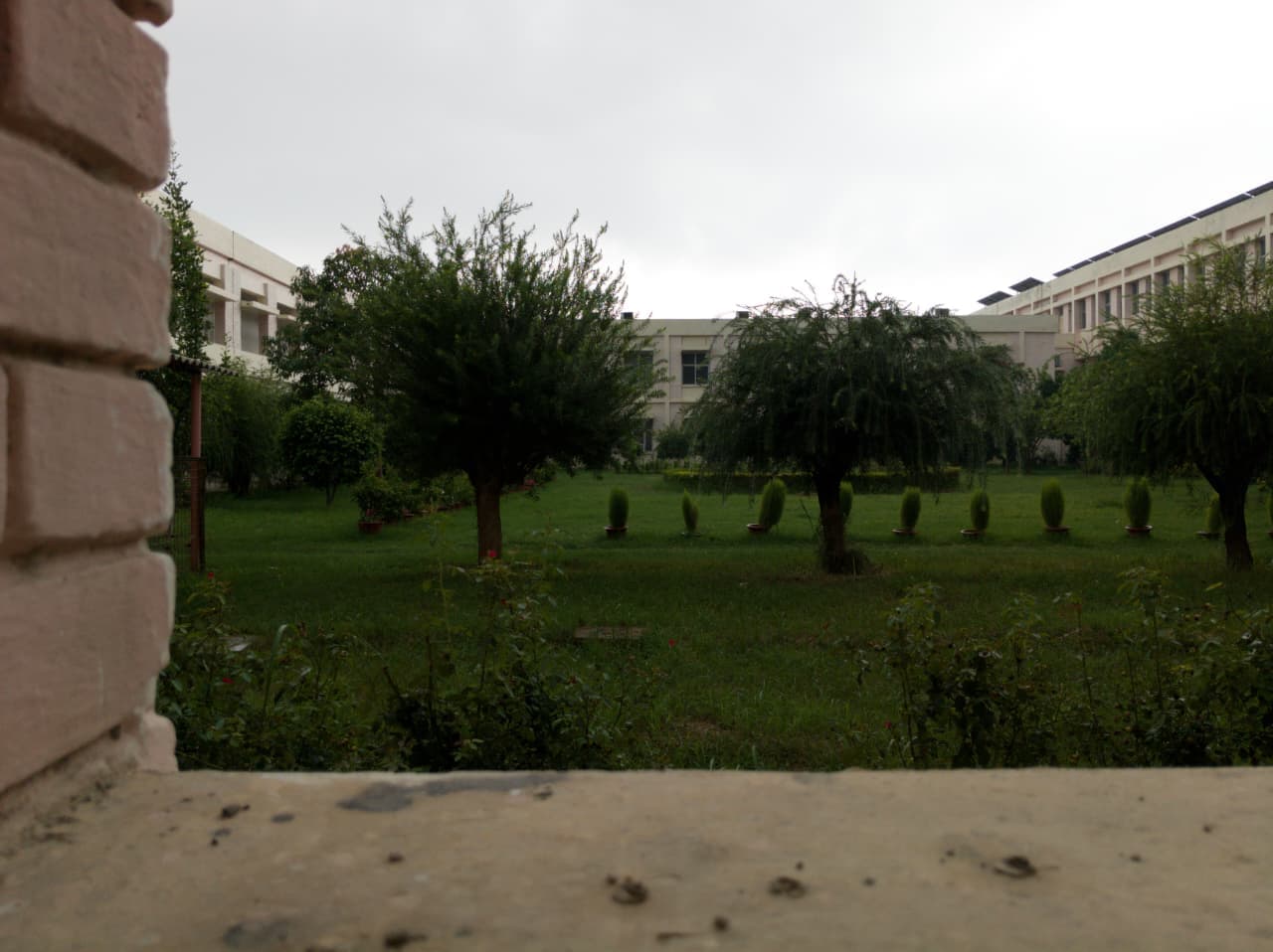 MNNIT Allahabad Campus photo 20